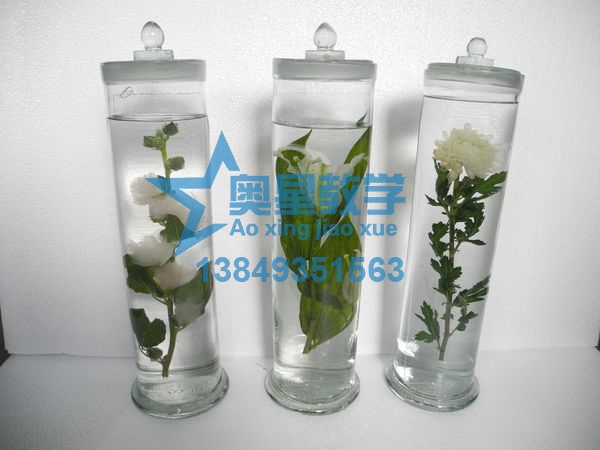  如何清洗生物切片標(biāo)本的玻片？