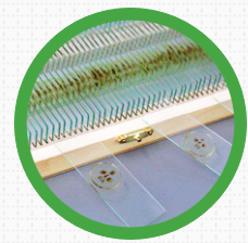 為什么生物切片標本制作會不合格？